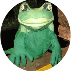 55966