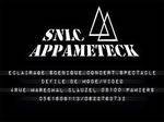 SNLC 09