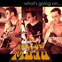 Yellow Mojo LIVES 2012 !!!
