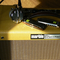 Harmoniciste - Blues.