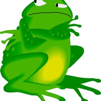 grenouilles & crapauds : apprenons à les aimer