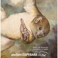 cours d'arts plastiques "Le zoo en délire" pour les enfants et adolescents