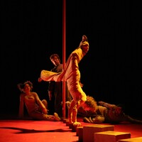 Suresnes cités danse - les 20 ans - soirées d'ouverture