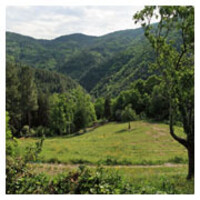 Art-t propose "Stage de Théâtre et Nature
