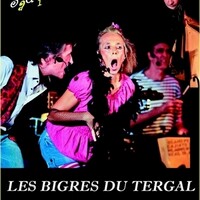 les bigres du tergal chantent et disent Brassens