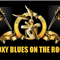 concert foxy blues