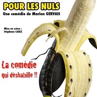Le sexe pour les Nuls