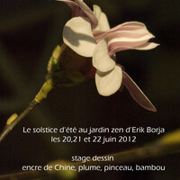 stage de dessin au jardin zen d'erik borja