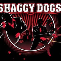 Houffalize - Shaggy Dogs (FR) - Pubrock