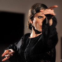 TABLAO FLAMENCO LA FABIA