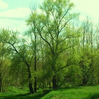 Les 4 saisons