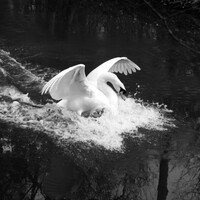 AUDE CROMBE-DELECLUSE photographies