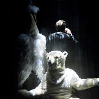 "Ma chambre froide" par Joël Pommerat – Cie Louis Brouillard Théâtre