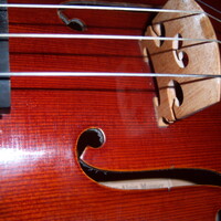 violoniste tb niveau cherche projets musicaux pro