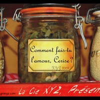 Comment fais-tu l'amour, Cerise ?
