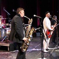Greyhounddogs (rock'n'roll) recherche prestations en Belgique et en France
