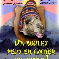 Un boulet peut en cacher un autre