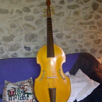 Viole de gambe 6 cordes J. van de Geest à vendre