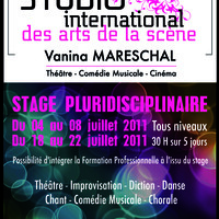 Stage théâtre, danse, chant... au studio international des arts de la scène