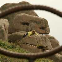 animation  land art cotes d'armor lannion