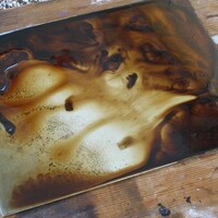 Gravure: cours de techniques traditionnelles de la taille douce