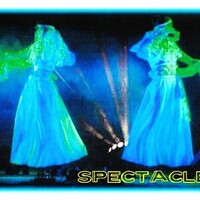 spectacle de clown, spectacle grand public, animations, son et lumière, évènement