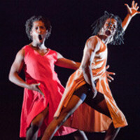 Soirée Lauréats "Danse l'Afrique danse"
