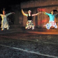 Cours de danses et percussions africaines & spectacle et concerts