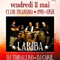 lariba in vivo - soirée translatines