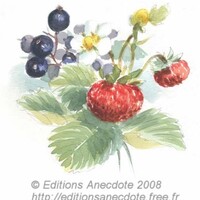 Stages d'aquarelle dans un village ancien de l'aube