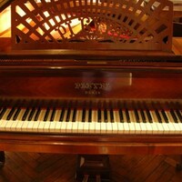 Piano a queue pleyel modele F