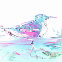 cours par correspondance- dessin- peinture