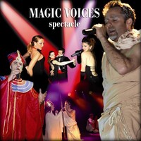 Spectacle comédies musicales