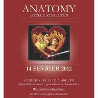 Heart Anatomy