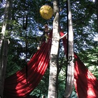 Le Murmure du vent