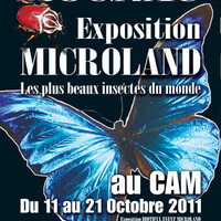 Microland