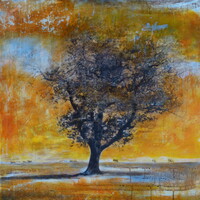 stage Photo peinture