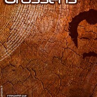la rouquiquinante présente "brassens au bois de mon coeur"