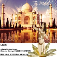 stage danse bollywood et gestuelle indienne