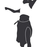 VOOA- association et compagnie professionnelle