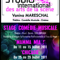Stage de comédie musicale au studio international des arts de la scène