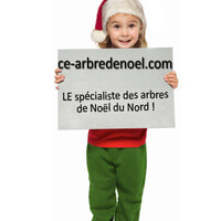 Organisation d'Arbre de noel 