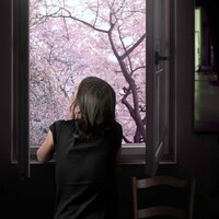 Hako Onna ou la Femme-boîte