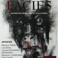 Délits de Faciès