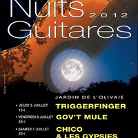 Les nuits guitares 2012 // du 5 au 7 juillet // Beaulieu - sur - Mer