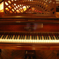 Piano & sons  technicien piano accordeur expert nice, cannes menton monaco côte d'azur italie provence alpes