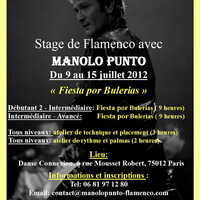 stage de flamenco "Fiesta por Bulerias" du 9 au 15 juillet 2012