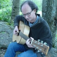 cours de guitare fingerpicking, blues, ragtime