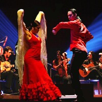 Spectacle Danse Flamenco Noche Flamenca: Festival d'Avignon