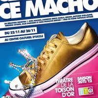 Cendrillon, ce macho
